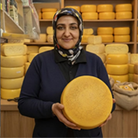 Organik Ev yapımı orjinal kars kaşarı